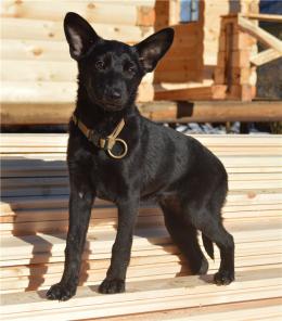 ��� �����. ����� 3 ���.