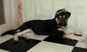 �������������� ����� ���, �������� ����� ���