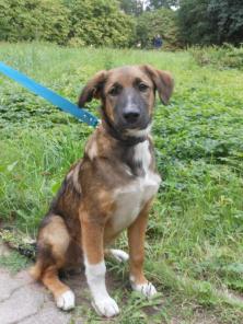 7 ���. �����-���������, ������� � ������� ����.