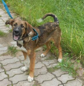 7 ���. �����-���������, ������� � ������� ����.