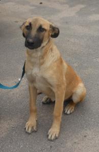 �����-���������, 7 ���. ������� � ���.