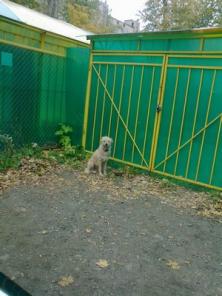 ������ � ������� ���� ���������