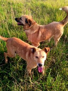 ������ ����� �����? ����� � ������ ���� ������ ����!