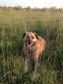 ������ ����� �����? ����� � ������ ���� ������ ����!