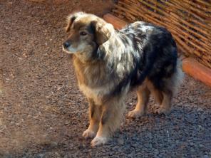 ��������-��������� ����, ����� ����� � ������ ����!