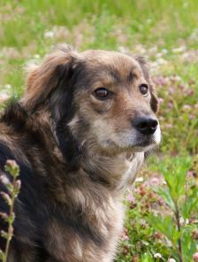 ��������-��������� ����, ����� ����� � ������ ����!