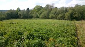 Продаю шикарный участок 15 соток, 90 км от мкад, 20 км от Волоколамска