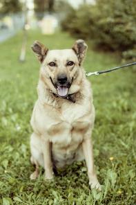 ������������ ����,������-������� ���� ���