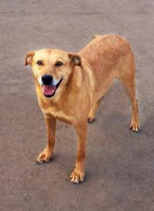 ������ ����� �����? ����� � ������ ���� ��� � ������!