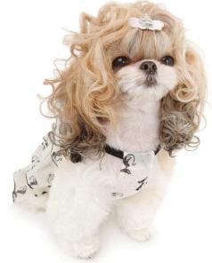 ������� �����. ����� �������. ���������. ��������, ��������