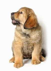 ���������  ����� ���������� ������� � ���������� ����������� !