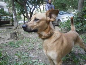 ����� ���� ������ � ���!