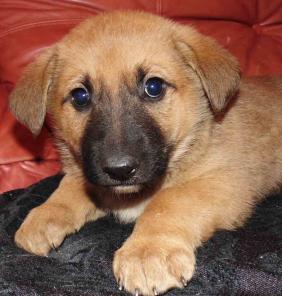 ����� � ��� �����, ������ �������� �������.