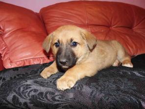 ����� � ��� �����, ������ �������� �������.