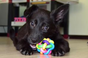 ����� � ���! 3 ���.