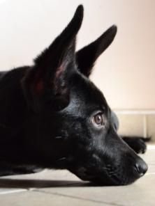 ����� � ���! 3 ���.