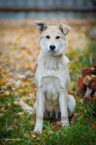 � ��� �������� ����� ���� � ������� ���������