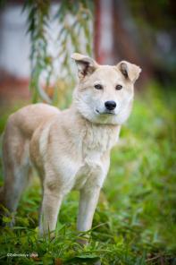 � ��� �������� ����� ���� � ������� ���������