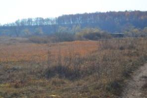 Земельный участок под ИЖС в с. Новоникольское Данковского района Липецкой области