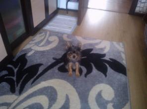 ������� �����