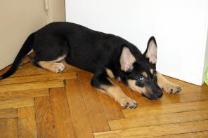 ������ - �������� � ������� �������� ���� ���� �����!