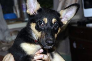 ������ - �������� � ������� �������� ���� ���� �����!