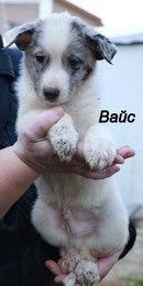 ����� ����� � ������ ����!