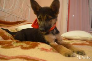 2 ���, ������� �����. ����� � ������ ����