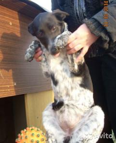 �������������� ����� � ���