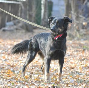 ������� ��������� ����� � ������ ����