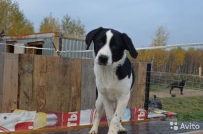 ����� � ��� �����, ������.