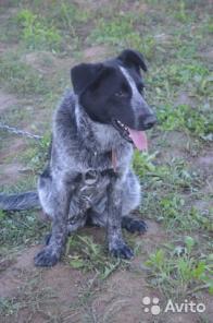 ������� � �������� ����� � ���