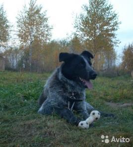 ������� � �������� ����� � ���