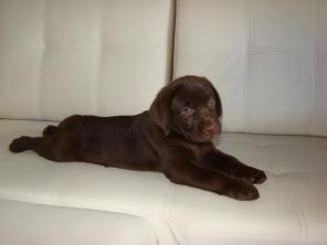 ����� ��������� ����������� ������