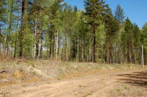 �p����� �������o�� y�ac��a