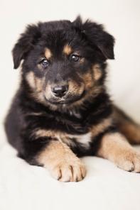 ����� � ���. �����, ������� 2,5 ������.