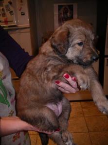 ����� � ������ ����