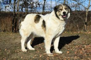 �������� ������ �� ������ � ������ ����