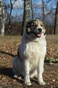 �������� ������ �� ������ � ������ ����