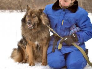 ����, ��������, �����������, �����������  � ������ ����� � ������ ����