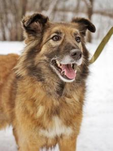 ����, ��������� ������-���������, ����� ������ ���� � ������ ����