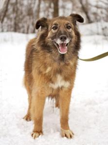 ����, ��������� ������-���������, ����� ������ ���� � ������ ����