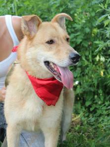 ����, ����������� ���! ����������, ���������������� � ������� � ���