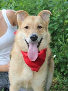 ����, ����������� ���! ����������, ���������������� � ������� � ���