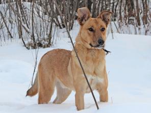 �������, ����������� � ������������� ��� ���� � ������ ����