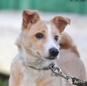 C������� �� ������ ������ � ������ ����