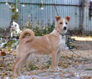 C������� �� ������ ������ � ������ ����