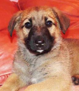 ����� � ��� �����, ������ �������� �������.