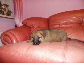 ����� � ��� �����, ������ �������� �������.