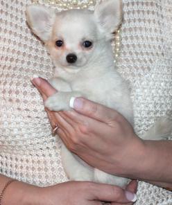 �������� �� ��������� ��������� ������